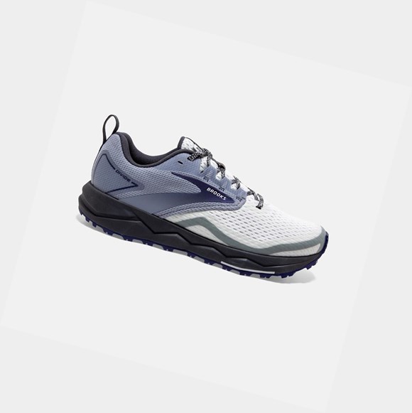 Women's Brooks Divide 2 Trail Shoes Grey / Dawn / Blue Ribbon | 1802KNVPZ